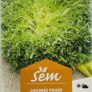 CHICOREE 3G FINE DE LOUVIERS - SNR