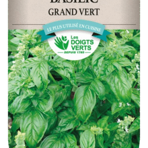 BASILIC 4G GRAND VERT - ROS