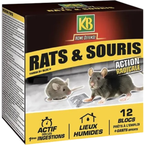 BLOC 240G RAT/SOURIS - EVE-3121970166521