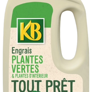 ENGRAIS PAE PLANTE VERTE 1L - KB - 3121970179699