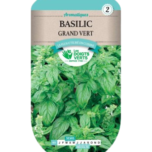 BASILIC 4G GRAND VERT - VJ -3354120254513