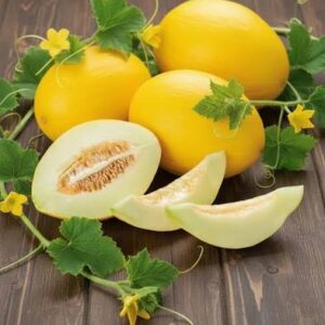 MELON 3G JAUNE CANARI - VJ - 3354120242916